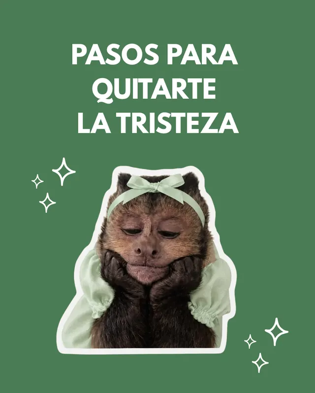 Portada del carrusel Pasos para quitar la tristeza, con un mono relajado con mascarilla