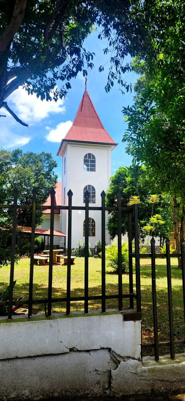 Iglesia blanca de techo rojo entre árboles