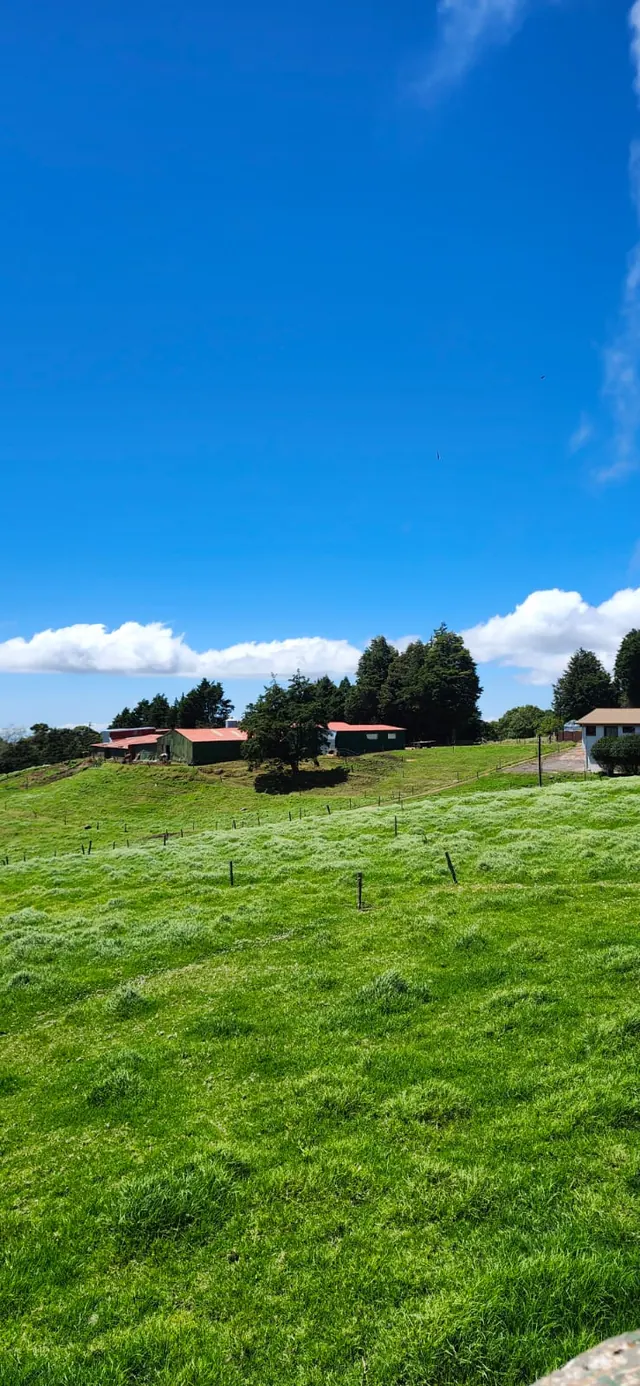 Pradera verde bajo un cielo azul intenso
